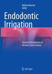bokomslag Endodontic Irrigation