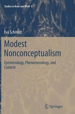 bokomslag Modest Nonconceptualism