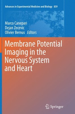 Membrane Potential Imaging in the Nervous System and Heart 1