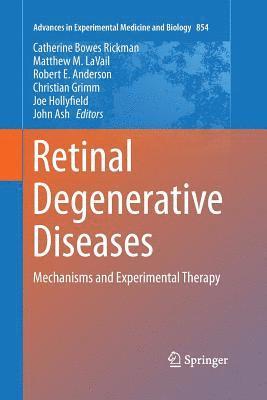 bokomslag Retinal Degenerative Diseases