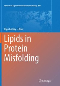 bokomslag Lipids in Protein Misfolding