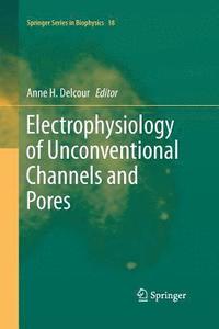 bokomslag Electrophysiology of Unconventional Channels and Pores