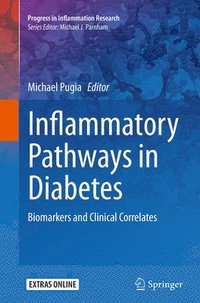 bokomslag Inflammatory Pathways in Diabetes