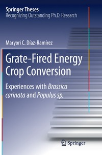 bokomslag Grate-Fired Energy Crop Conversion