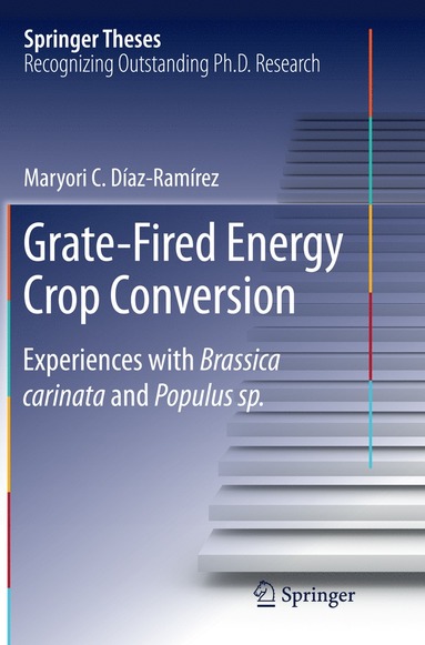 bokomslag Grate-Fired Energy Crop Conversion