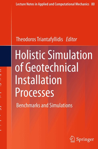 Theodoros Triantafyllidis - Holistic Simulation of Geotechnical Installation Processes, Häftad
