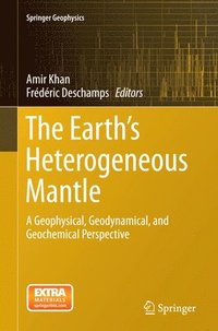 bokomslag The Earth's Heterogeneous Mantle