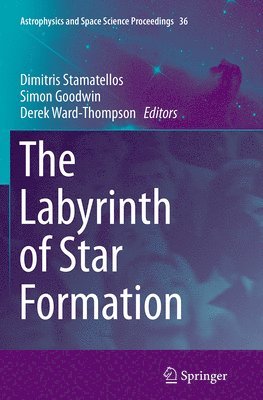Dimitris Stamatellos, Simon Goodwin, Derek Ward-Thompson - Labyrinth of Star Formation, Häftad