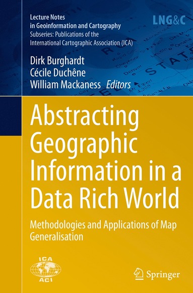 bokomslag Abstracting Geographic Information in a Data Rich World
