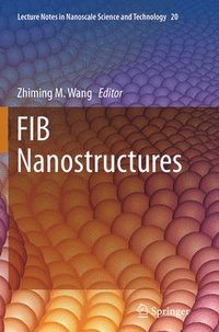 bokomslag FIB Nanostructures