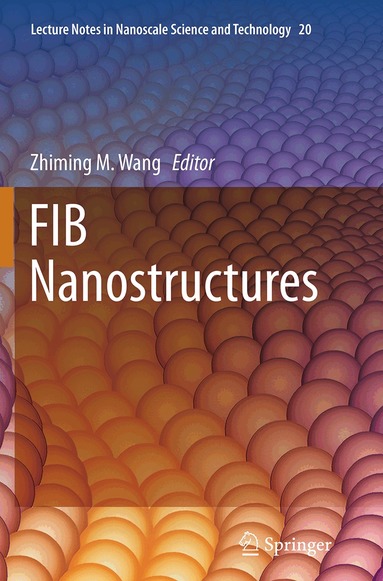 Zhiming M. Wang - FIB Nanostructures, Häftad