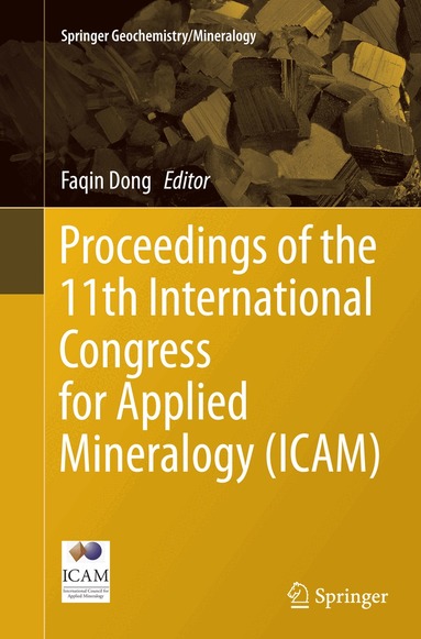 Faqin Dong - Proceedings of the 11th International Congress for Applied Mineralogy (ICAM), Häftad