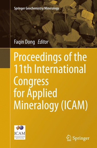 bokomslag Proceedings of the 11th International Congress for Applied Mineralogy (ICAM)