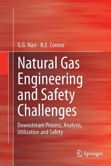 bokomslag Natural Gas Engineering and Safety Challenges