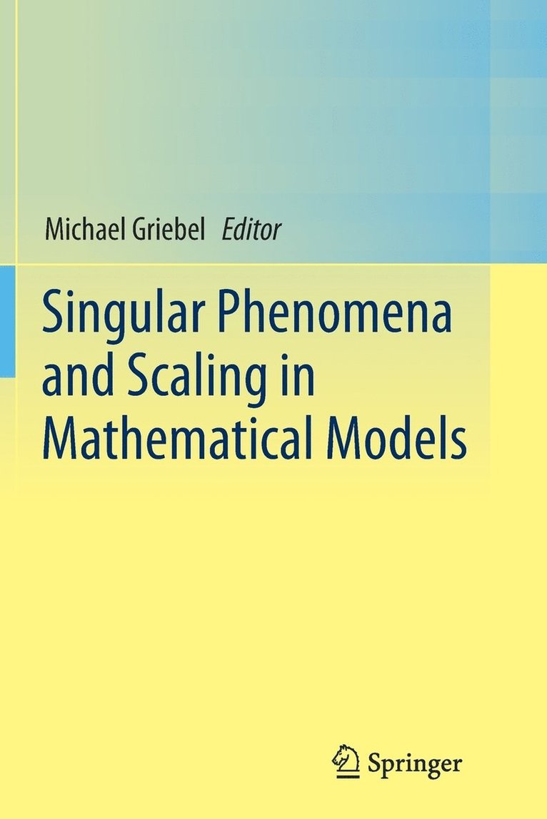 Michael Griebel - Singular Phenomena and Scaling in Mathematical Models, Häftad