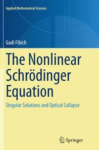 bokomslag The Nonlinear Schrdinger Equation