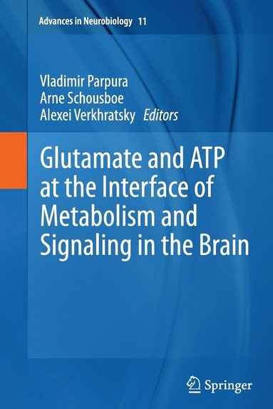 bokomslag Glutamate and ATP at the Interface of Metabolism and Signaling in the Brain