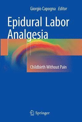bokomslag Epidural Labor Analgesia