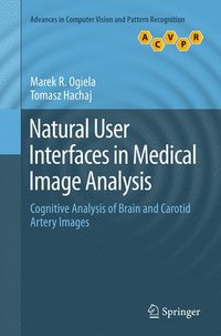 bokomslag Natural User Interfaces in Medical Image Analysis