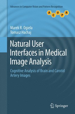 Natural User Interfaces in Medical Image Analysis 1