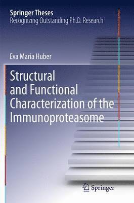 Structural and Functional Characterization of the Immunoproteasome 1