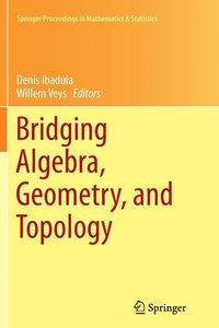 bokomslag Bridging Algebra, Geometry, and Topology