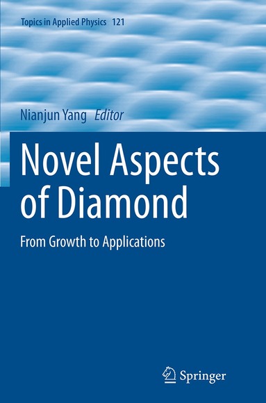 Nianjun Yang - Novel Aspects of Diamond, Häftad
