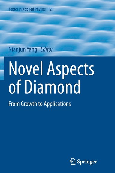 bokomslag Novel Aspects of Diamond