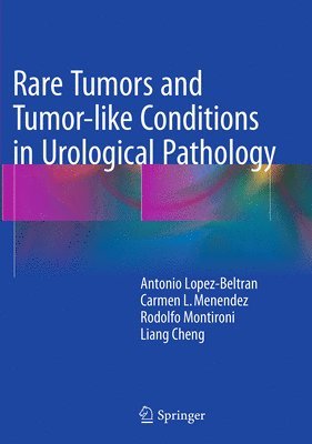 Rare Tumors and Tumor-like Conditions in Urological Pathology 1