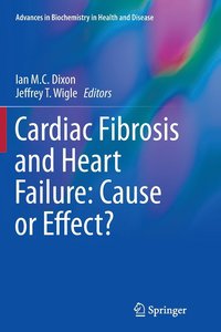 bokomslag Cardiac Fibrosis and Heart Failure: Cause or Effect?