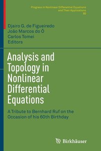 bokomslag Analysis and Topology in Nonlinear Differential Equations