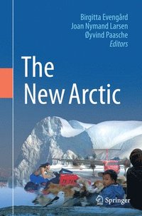 bokomslag The New Arctic