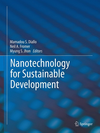 bokomslag Nanotechnology for Sustainable Development