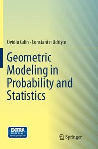 bokomslag Geometric Modeling in Probability and Statistics