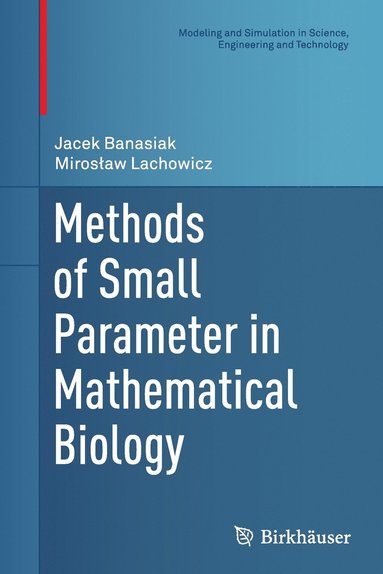 bokomslag Methods of Small Parameter in Mathematical Biology