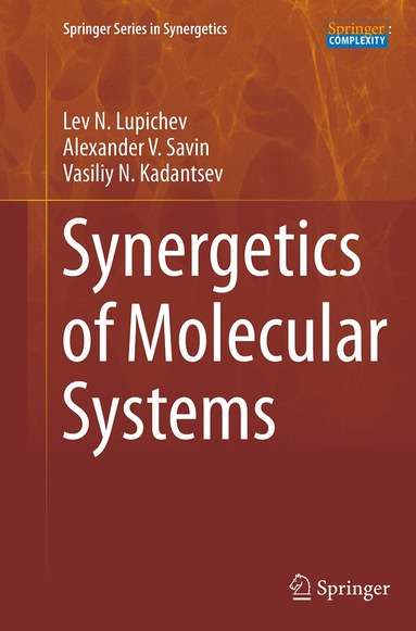 Lev N. Lupichev, Alexander V. Savin, Vasiliy N. Kadantsev - Synergetics of Molecular Systems, Häftad