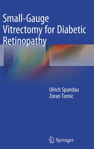 Ulrich Spandau, Ulrich Spandau - Small-Gauge Vitrectomy for Diabetic Retinopathy, Häftad