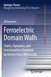bokomslag Ferroelectric Domain Walls