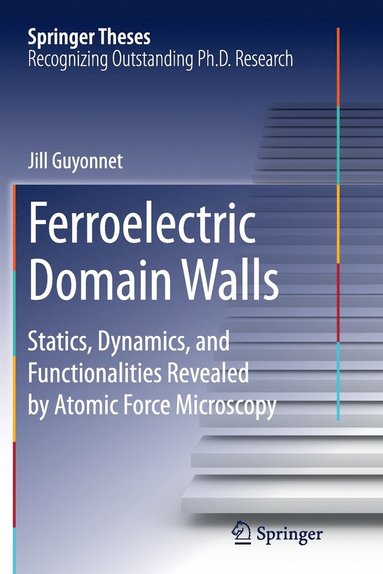 bokomslag Ferroelectric Domain Walls
