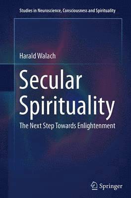 bokomslag Secular Spirituality