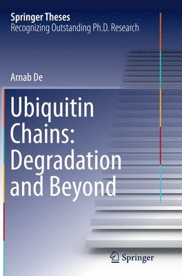 bokomslag Ubiquitin Chains: Degradation and Beyond