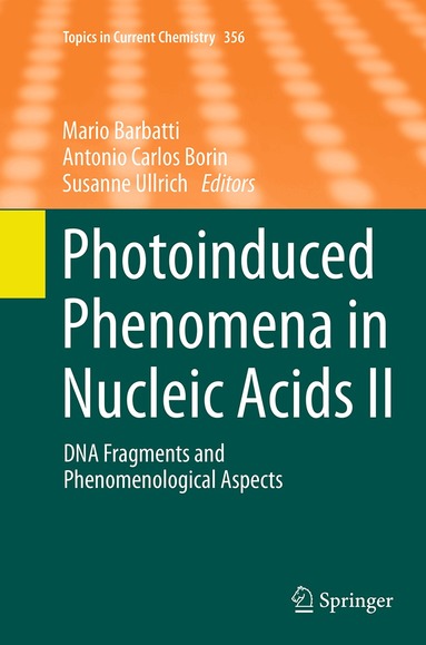 Mario Barbatti, Antonio Carlos Borin, Susanne Ullrich - Photoinduced Phenomena in Nucleic Acids II, Häftad