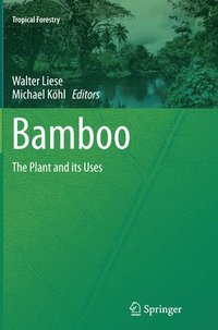 bokomslag Bamboo