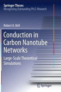 bokomslag Conduction in Carbon Nanotube Networks