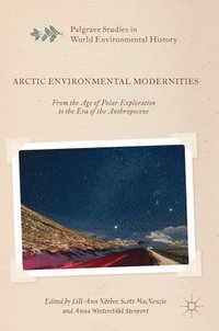 bokomslag Arctic Environmental Modernities