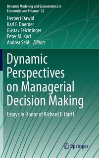 bokomslag Dynamic Perspectives on Managerial Decision Making