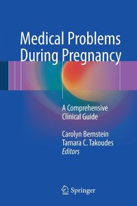 bokomslag Medical Problems During Pregnancy