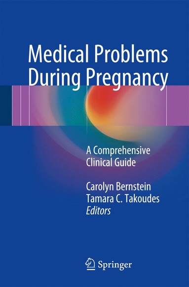 bokomslag Medical Problems During Pregnancy