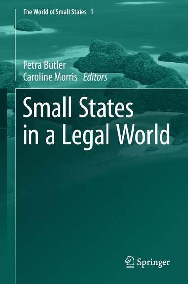 bokomslag Small States in a Legal World