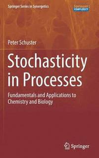 bokomslag Stochasticity in Processes